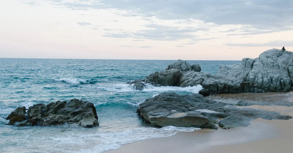 Complete Tour Guide to San Jose del Cabo: Tours, Prices, and Travel Tips