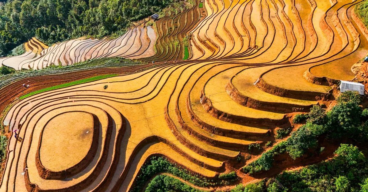 Sapa Travel Guide: Exploring Tours, Prices, and Local Experiences