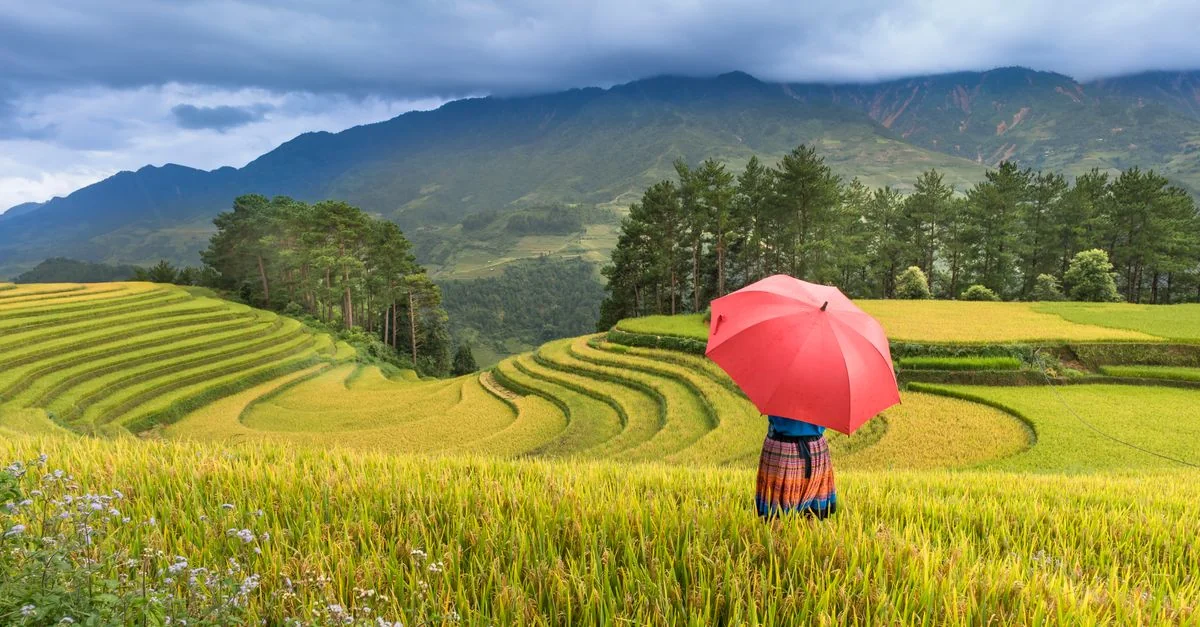 Sapa Travel Guide: Exploring Tours, Prices, and Local Experiences