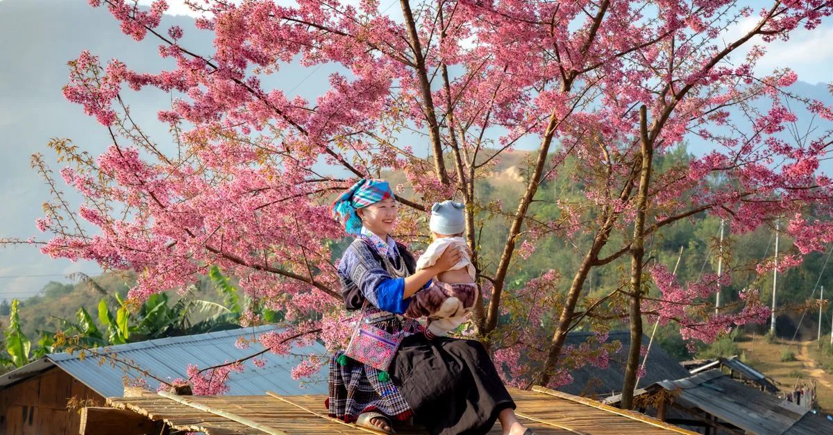 Sapa Travel Guide: Exploring Tours, Prices, and Local Experiences