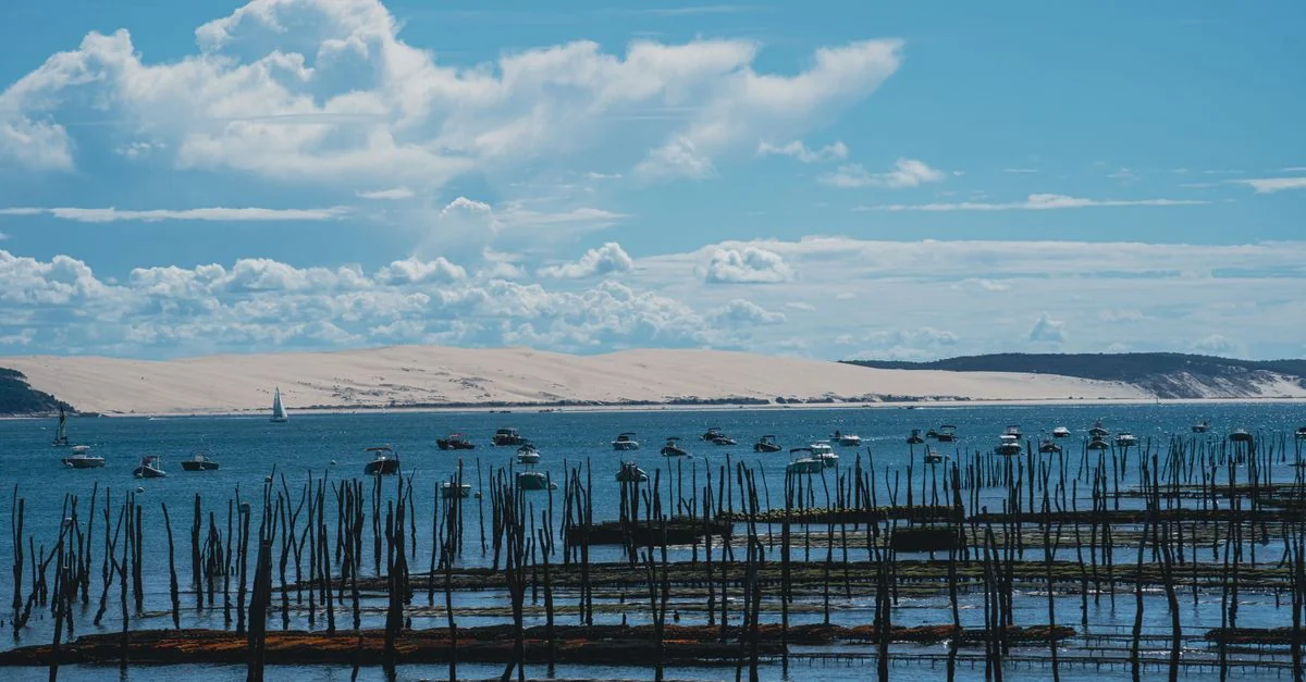 A Comprehensive Guide to Touring Seine-Maritime