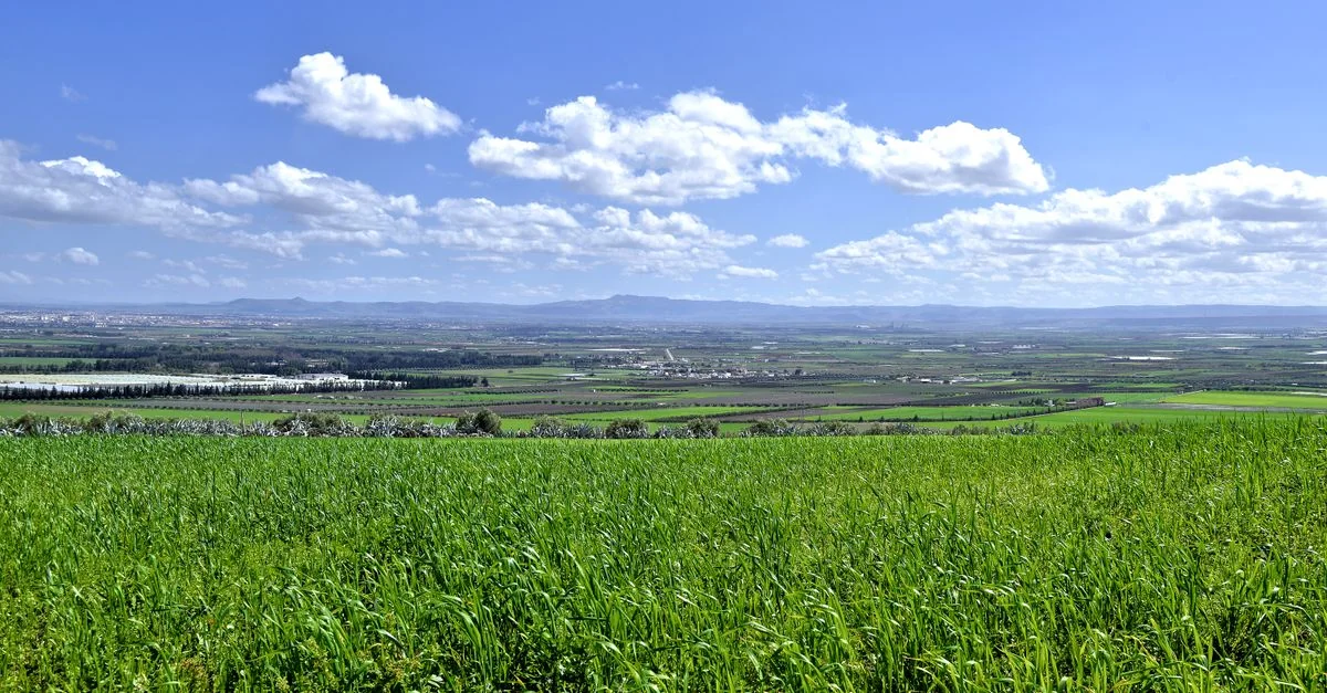 A Complete Guide to Exploring Tanger -Assilah