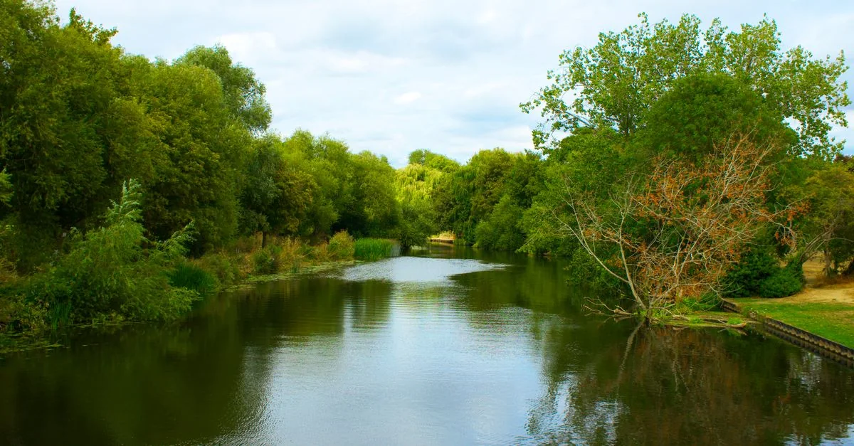 West Midlands Travel Guide: Exploring the Region with Tours and Activities