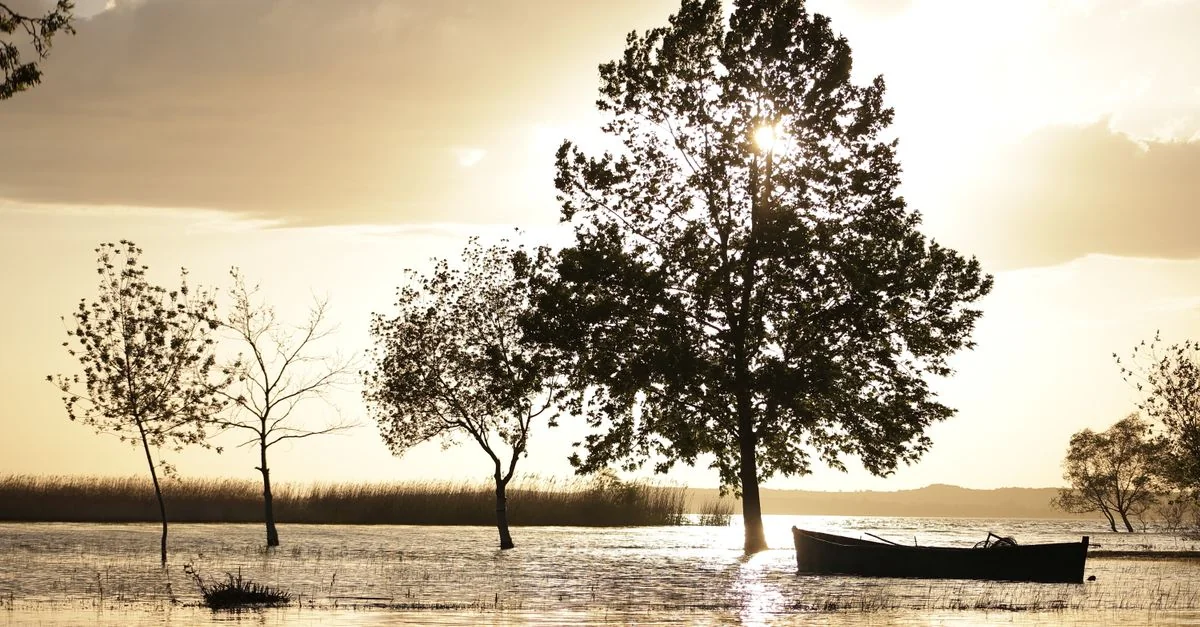 Exploring the Scenic Route from Biganos to Bordeaux: A Journey Through France&rsquo;s Heartland