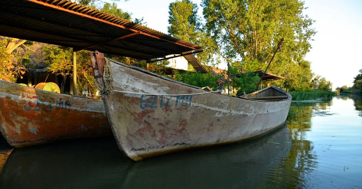 Exploring the Scenic Route from Biganos to Bordeaux: A Journey Through France&rsquo;s Heartland