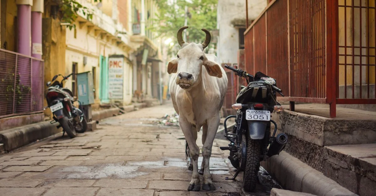 Best Photo Tours in BO