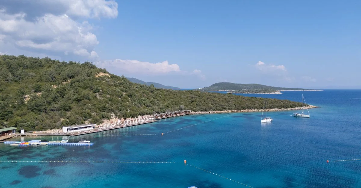 Bodrum Adventure Guide: Extreme Sports and Wildlife Tours with Prices and Tips