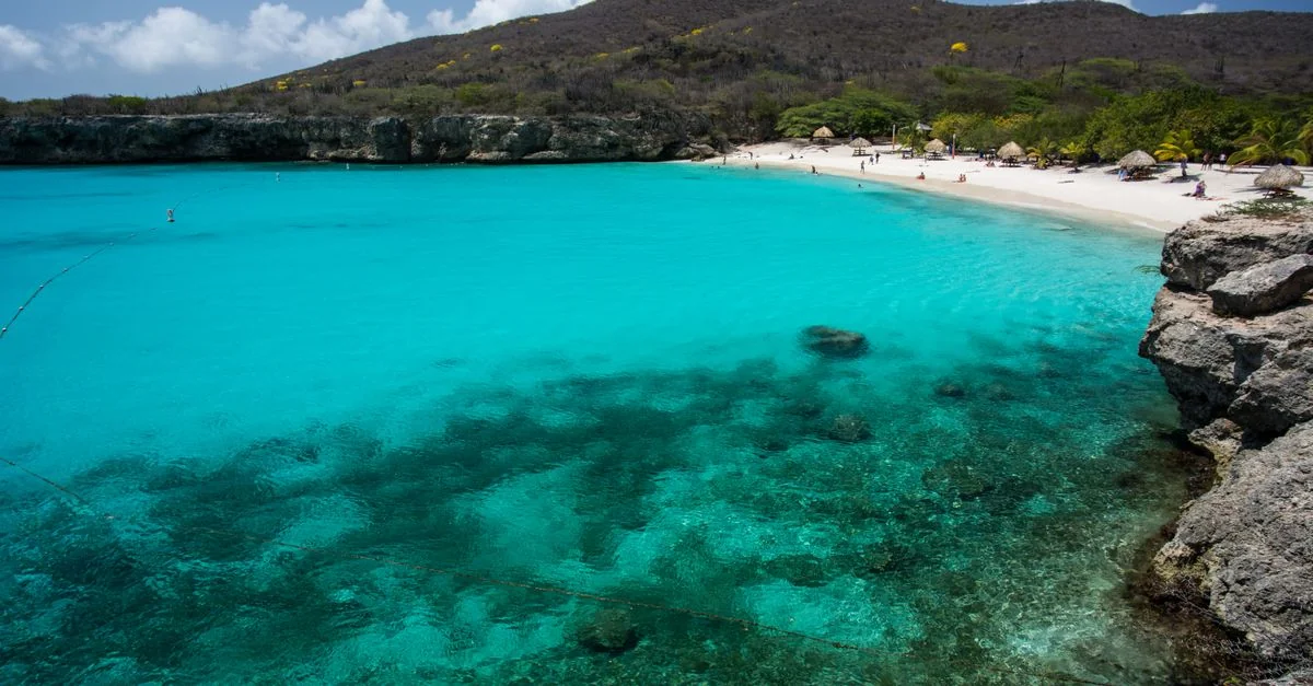 The Ultimate Bonaire Water Sports Guide: Sailing and Snorkeling Adventures