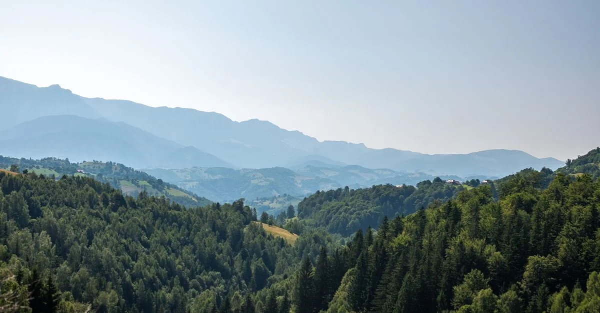 Nature and Wildlife Tours in Brasov: Discover Romania