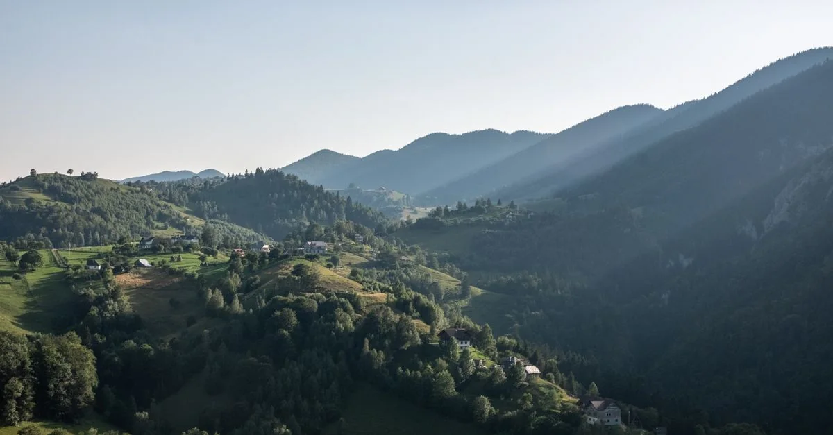Nature and Wildlife Tours in Brasov: Discover Romania