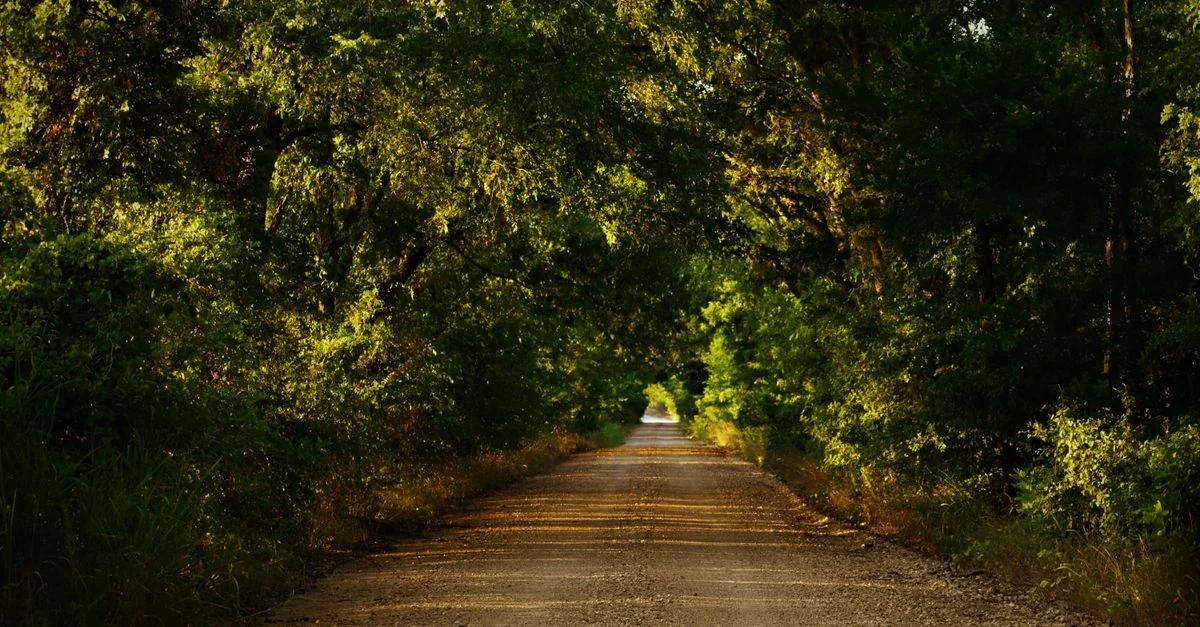 Brazos County City Tours and Sightseeing Guide