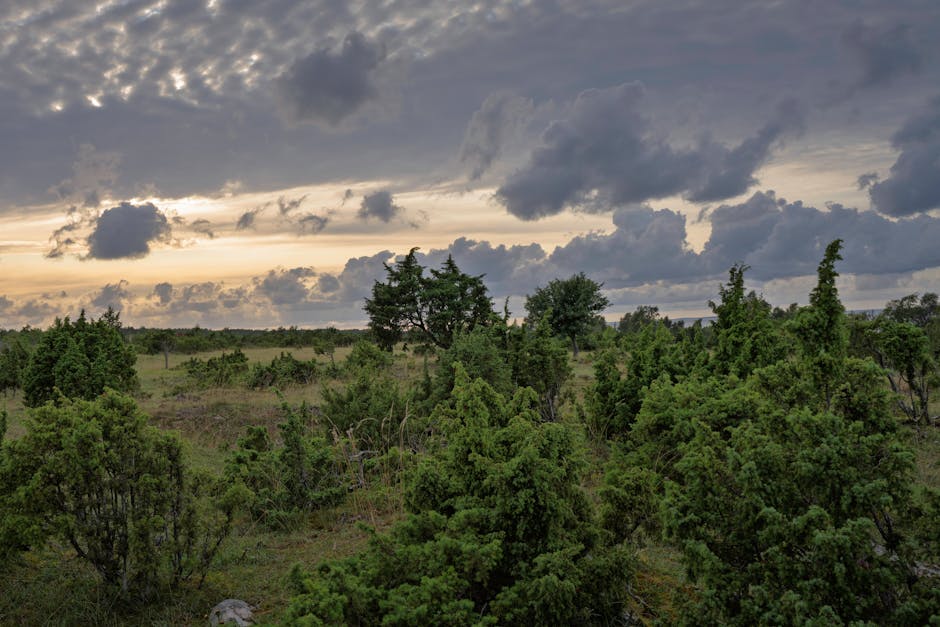 brazos-county-walking-tours