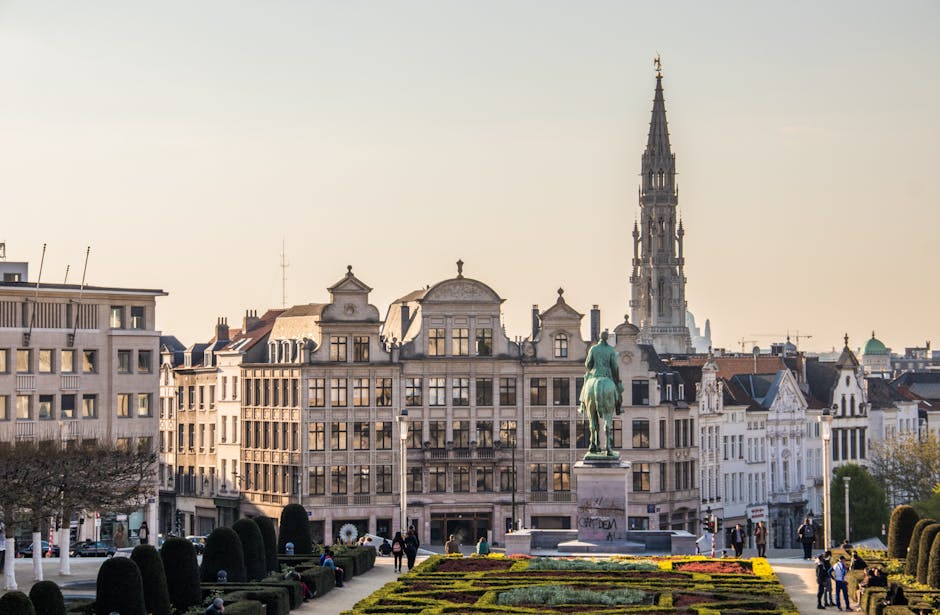 breda-to-brussels-bus