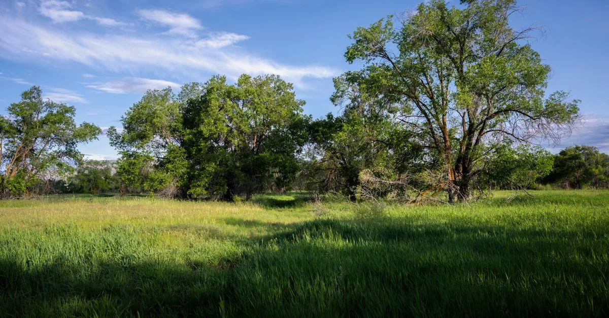 Brewster County Walking Tours Guide: Explore on Foot