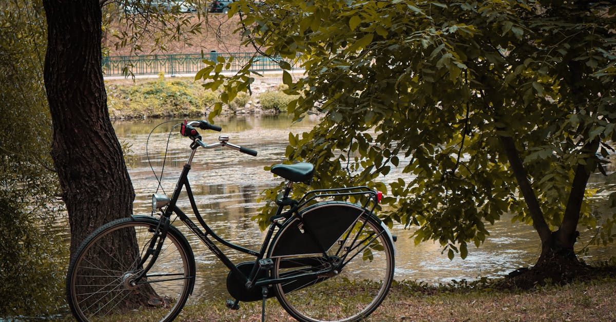 bucharest-nature-tours