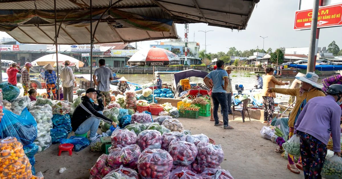 Day Trips From Cửa Nam: Navigating Karsts and Gulf Waters