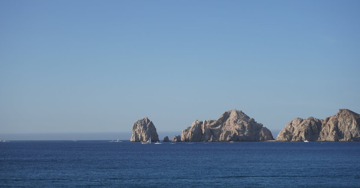 cabo-san-lucas-nature-tours