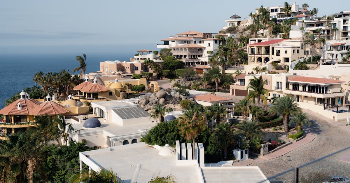 cabo-san-lucas-nature-tours
