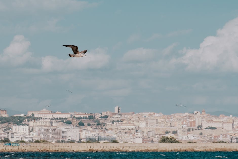 cagliari-to-napoli-ferry