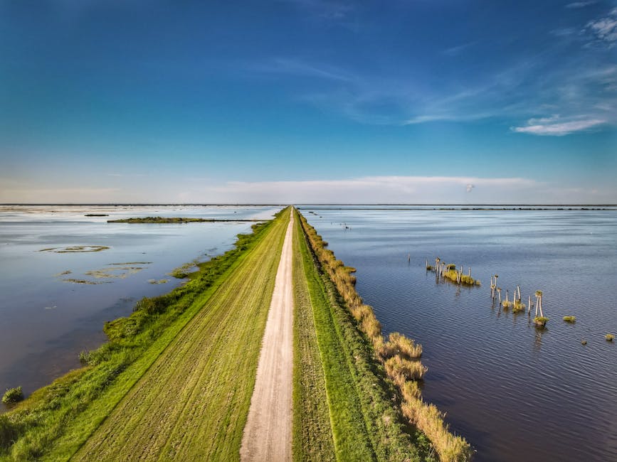 calcasieu-parish-walking-tours