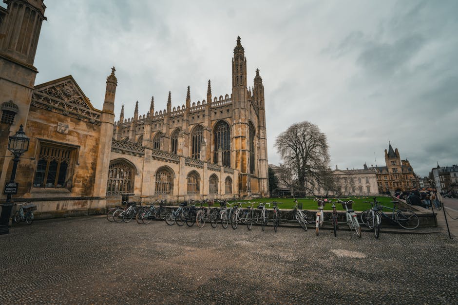 cambridge-to-london-bus