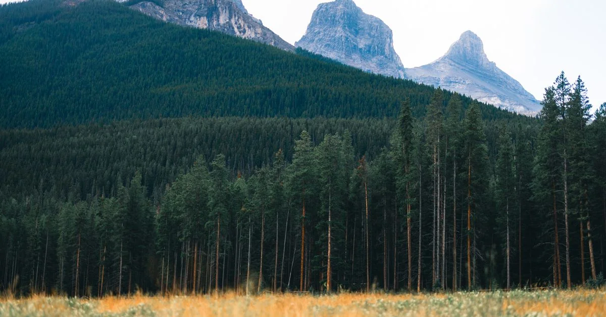 Canmore Day Trips: Stunning Lakes & Private Adventures