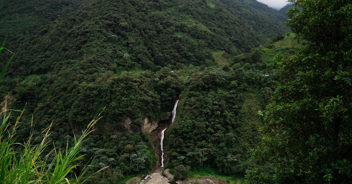 cantn-baos-adventure