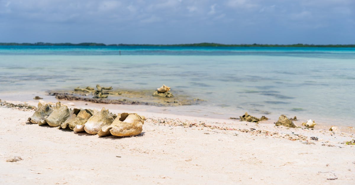 cap-cana-water-sports