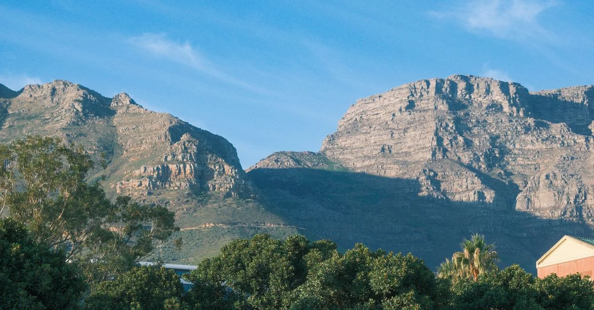 Cape Town Central: A Journey Through Art and History