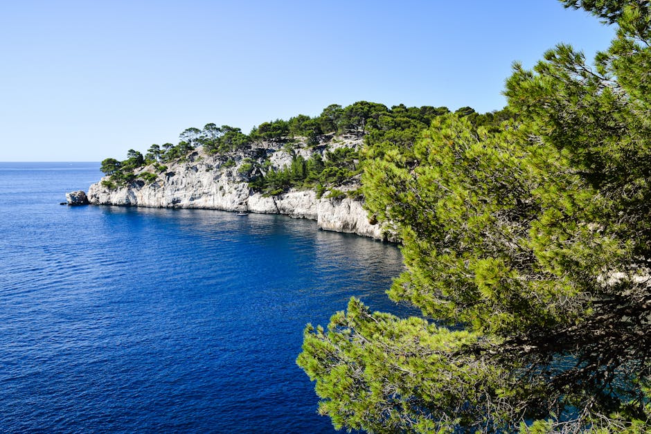 cassis-to-nice-bus