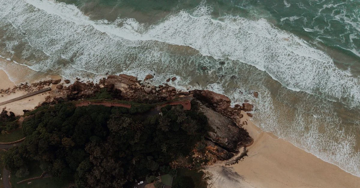 Cassowary Coast Adventure Guide: White Water Rafting with Prices and Tips