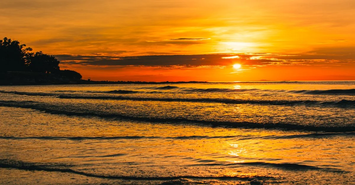 Cat Hai Day Trip Guide: Navigating the Bay Waters and Coastal Islands