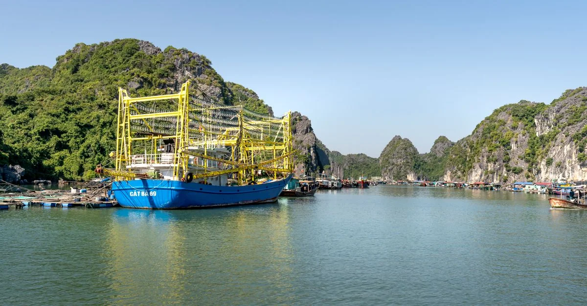 Cat Hai Day Trip Guide: Navigating the Bay Waters and Coastal Islands