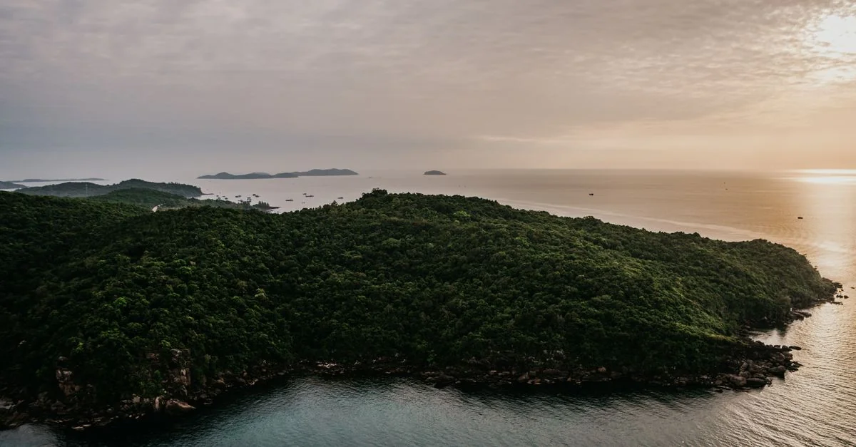 Cat Hai Day Trip Guide: Navigating the Bay Waters and Coastal Islands