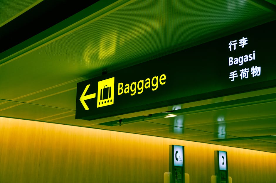 charlotte-douglas-international-airport-clt-guide
