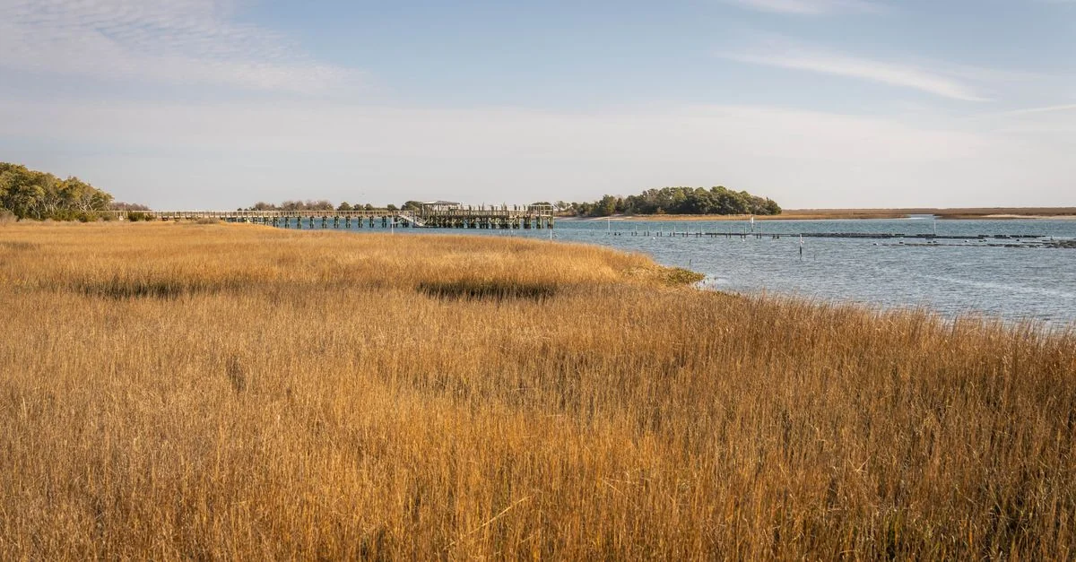 Chatham County City Tours and Sightseeing Guide
