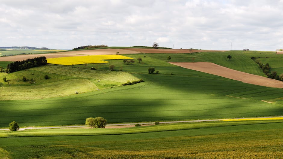 cheapest-flights-atlanta-to-fort-lauderdale