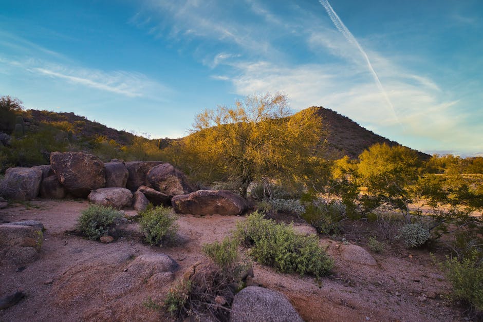 cheapest-flights-atlanta-to-phoenix