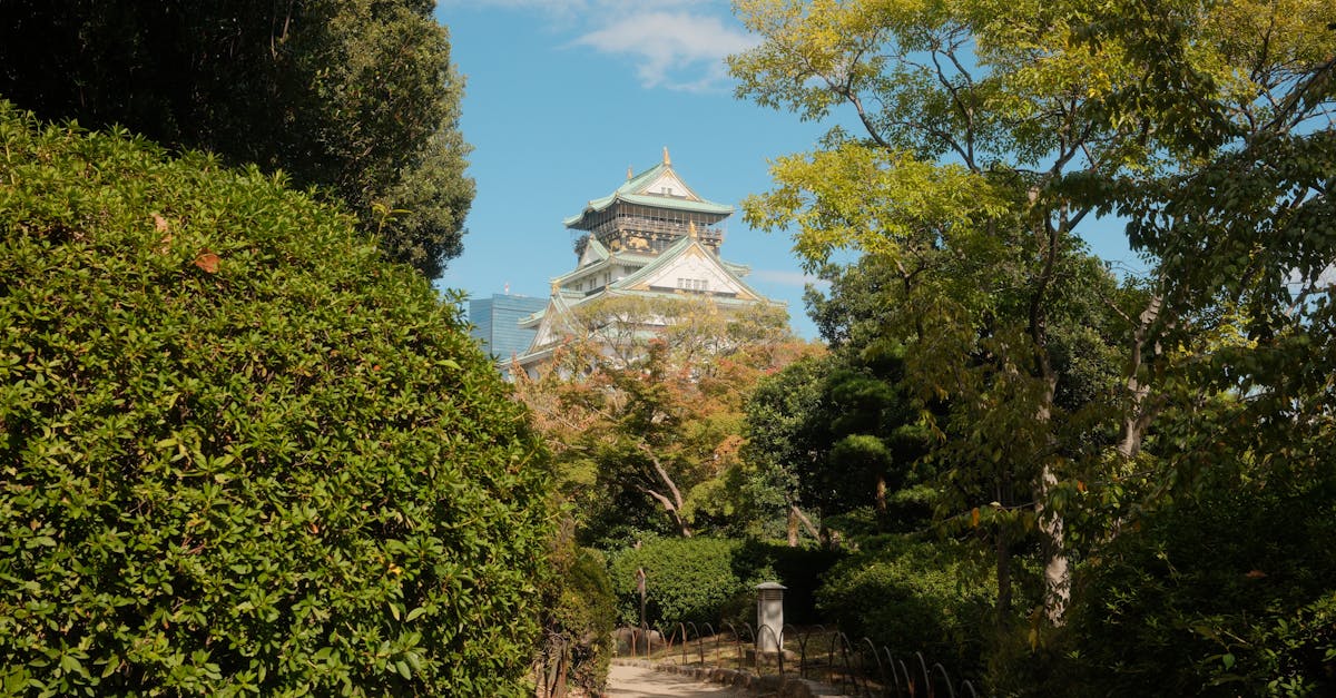 cheapest-flights-chicago-to-osaka
