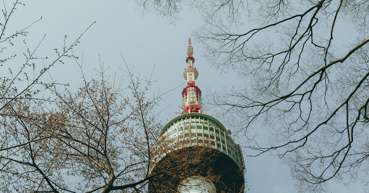 cheapest-flights-chicago-to-seoul