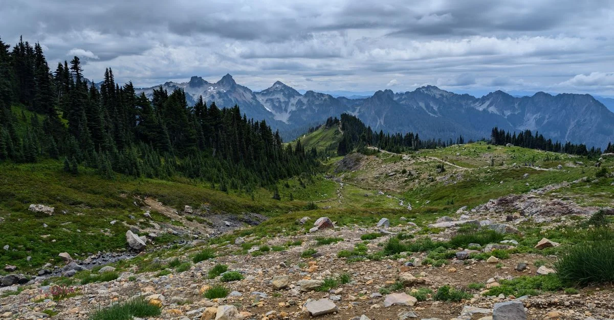 Planning a Trip? Cheapest Flights from Chicago to Washington Compared