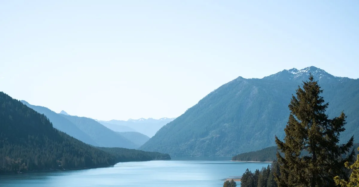 Planning a Trip? Cheapest Flights from Chicago to Washington Compared