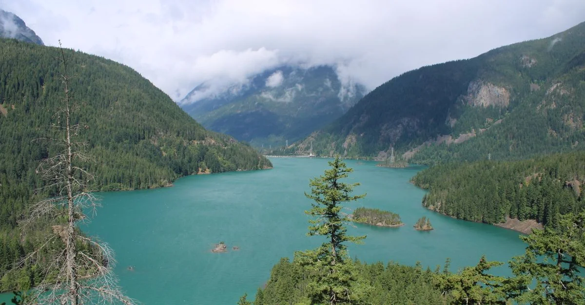 Planning a Trip? Cheapest Flights from Chicago to Washington Compared