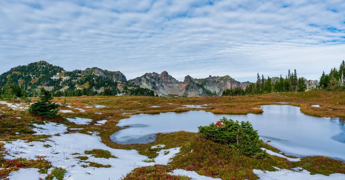 Denver to Washington Flight Deals: Save Big on Your Next Trip