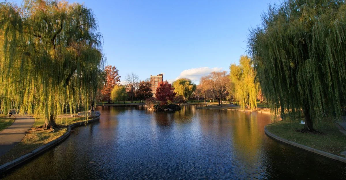 Fly Miami to Boston Without Breaking the Bank: A Complete Price Guide