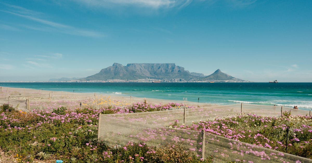 cheapest-flights-new-york-to-cape-town