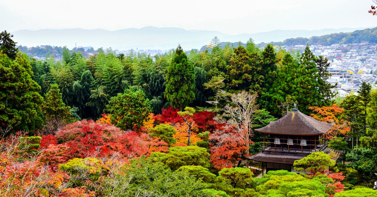 cheapest-flights-new-york-to-kyoto