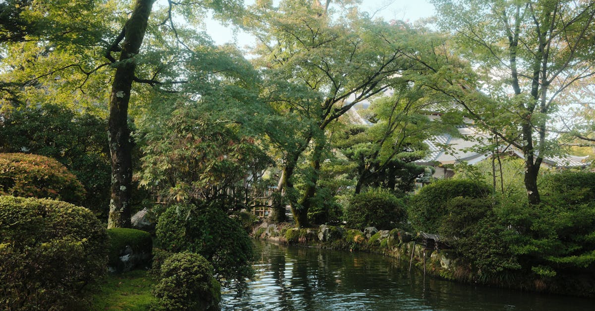 cheapest-flights-new-york-to-kyoto