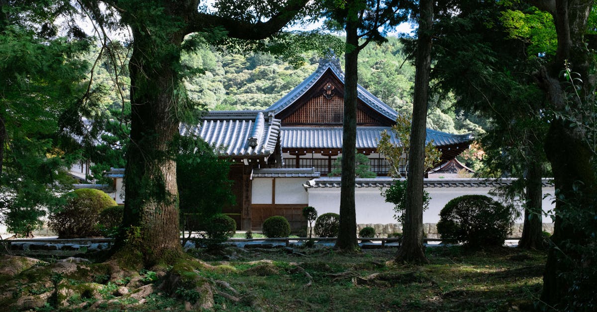cheapest-flights-new-york-to-kyoto
