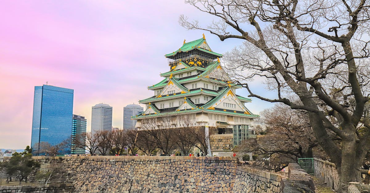 cheapest-flights-new-york-to-osaka